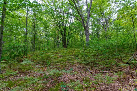 3825 E Buchanan St, White Cloud, MI 49349 photo 42