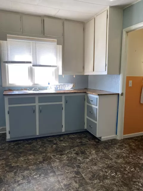 123 Eleventh St, Edmore, MI 48829 photo 8