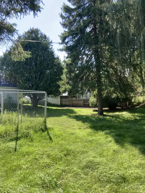 123 Eleventh St, Edmore, MI 48829 photo 12