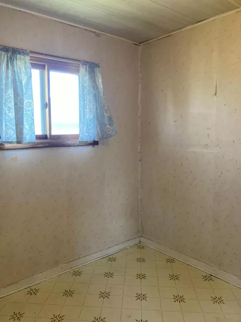 123 Eleventh St, Edmore, MI 48829 photo 6