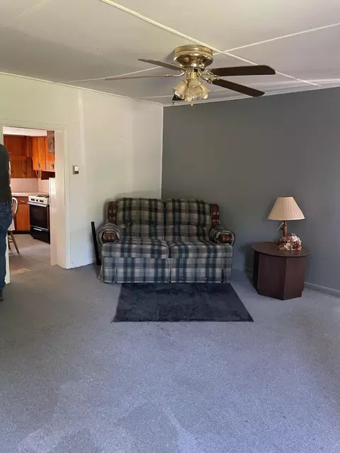 122 E Lake St, Stanton, MI 48888 photo 7