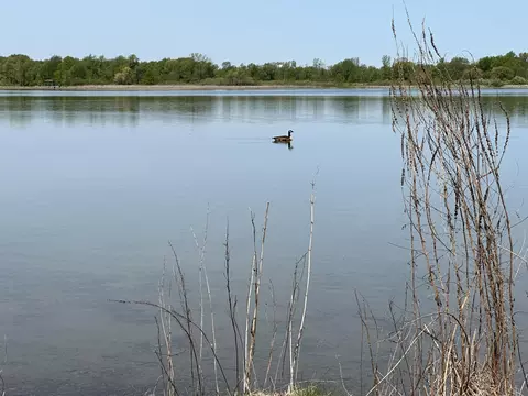 463 471 Stuart Lake Rd, Marshall, MI 49068 photo 29
