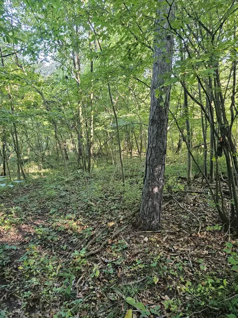 4956 Kyser Rd, Lowell, MI 49331 photo 5