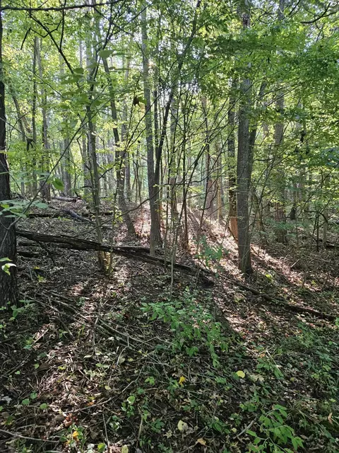 4956 Kyser Rd, Lowell, MI 49331 photo 4