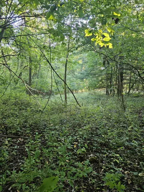 4956 Kyser Rd, Lowell, MI 49331 photo 8