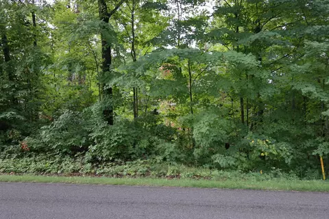 Parcel A Indian Lakes, Cedar Springs, MI 49319
