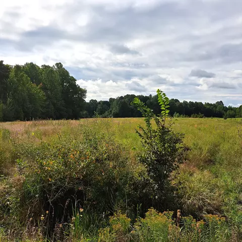 V/l Cr 384, South Haven, MI 49090