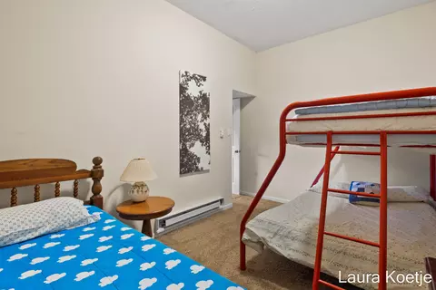465 Adele Dr, Trufant, MI 49347 photo 24