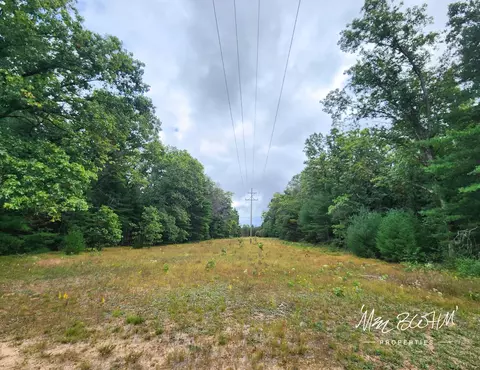 5415 E 28th St, White Cloud, MI 49349 photo 42