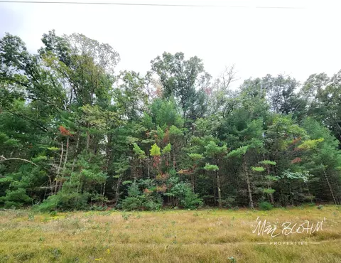5415 E 28th St, White Cloud, MI 49349 photo 31