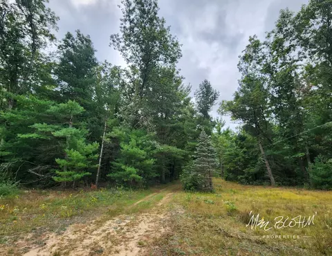 5415 E 28th St, White Cloud, MI 49349 photo 41