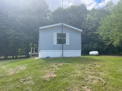 11689 E Hillis Rd, Riverdale, MI 48877 photo 5