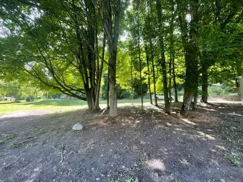 11689 E Hillis Rd, Riverdale, MI 48877 photo 28