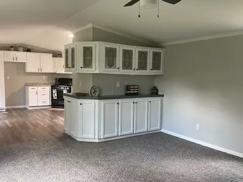11689 E Hillis Rd, Riverdale, MI 48877 photo 18