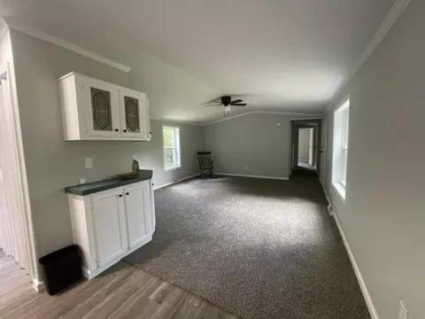 11689 E Hillis Rd, Riverdale, MI 48877 photo 17