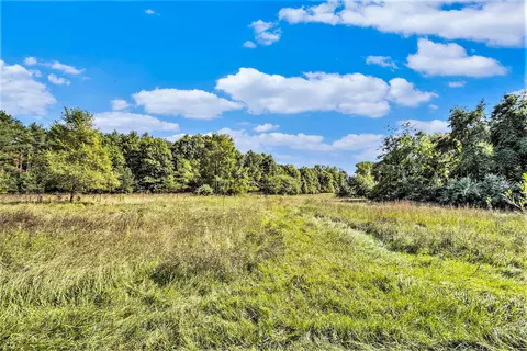 52532 Johnson Rd, Three Rivers, MI 49093 photo 35