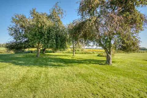 5798 N Briggs Rd, Stanton, MI 48888 photo 29