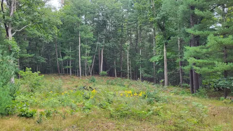 2972 S Spruce Ave, White Cloud, MI 49349 photo 52