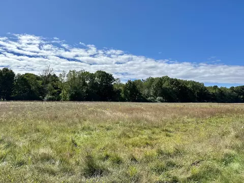 Lot 13 Foster Lane, South Haven, MI 49090