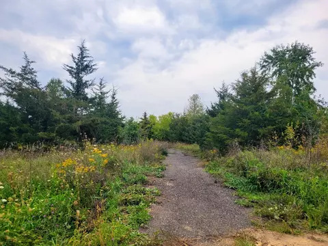 V/l Wheaton Road, Brooklyn, MI 49230