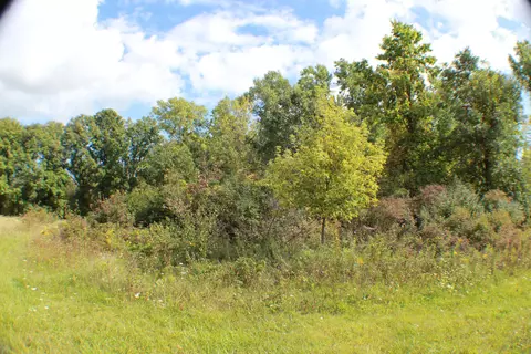 954 E Wilson Rd, Saint Johns, MI 48879 photo 22