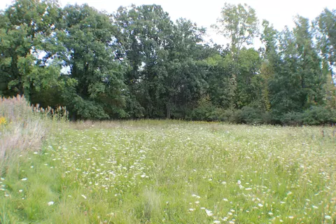 954 E Wilson Rd, Saint Johns, MI 48879 photo 18