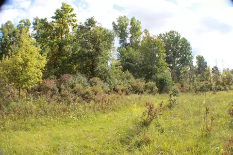 954 E Wilson Rd, Saint Johns, MI 48879 photo 21