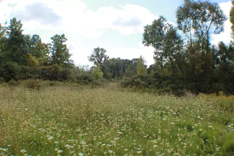 954 E Wilson Rd, Saint Johns, MI 48879 photo 20