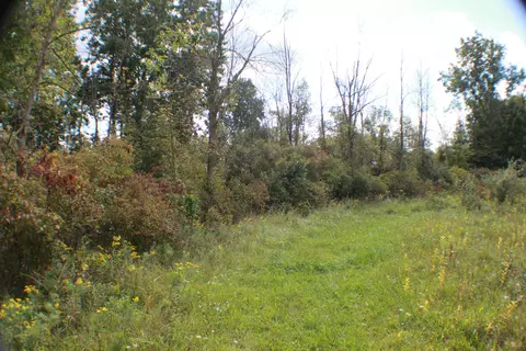 954 E Wilson Rd, Saint Johns, MI 48879 photo 24