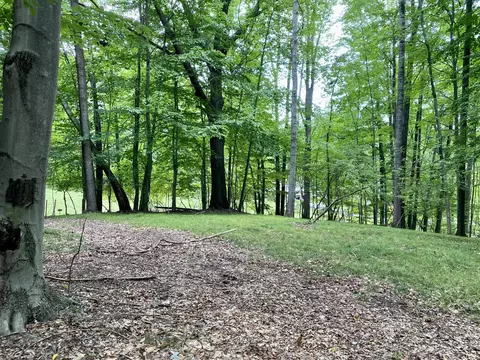 9979 Red Deer Ct, Canadian Lakes, MI 49346