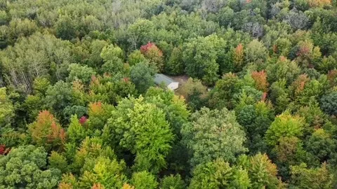 11875 S Long Rd, Falmouth, MI 49632