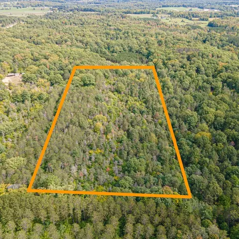 V/l Dogwood, Reed City, MI 49677