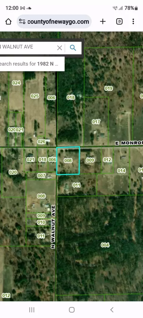 1982 N Walnut Ave, White Cloud, MI 49349 photo 18