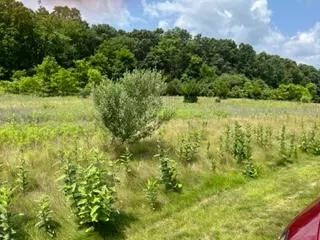 0 Stoneview Ln, Whitmore Lake, MI 48189