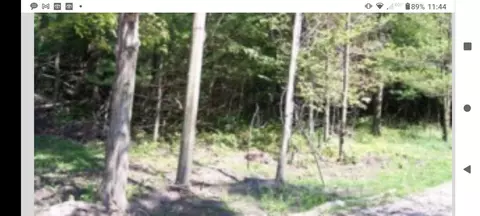 000 117th Ave, Fennville, MI 49408