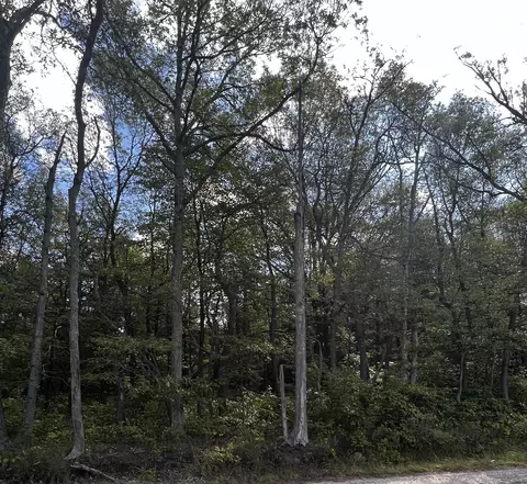 V/l Brooks, Muskegon, MI 49442