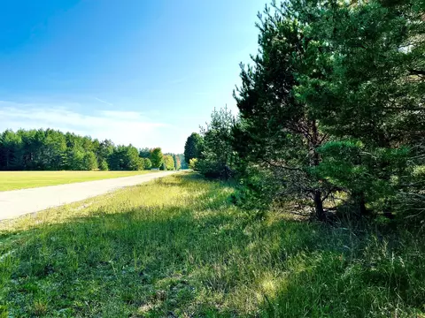 Parkside Street Street, Mancelona, MI 49659