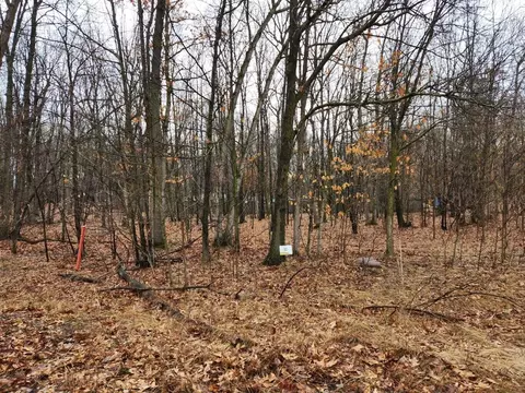 3 Marvie Dr #3, Saranac, MI 48881