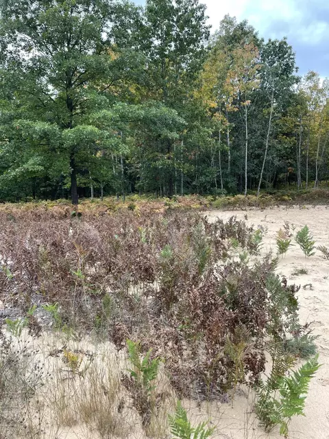 Johnson Road, Kaleva, MI 49645 photo 7