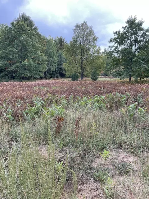 Johnson Road, Kaleva, MI 49645 photo 9