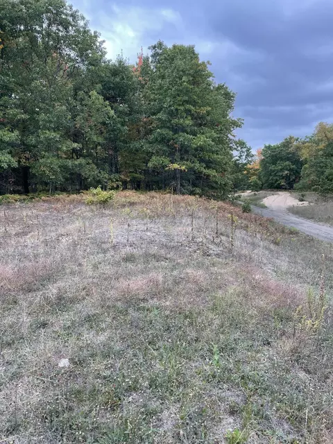 Johnson Road, Kaleva, MI 49645 photo 5