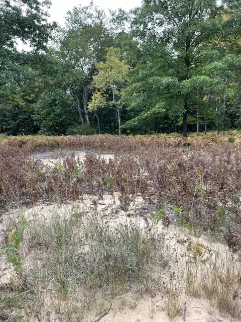 Johnson Road, Kaleva, MI 49645 photo 8