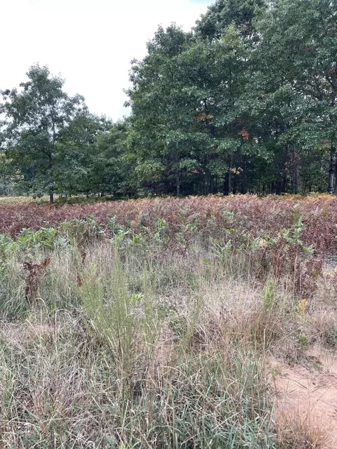 Johnson Road, Kaleva, MI 49645 photo 6