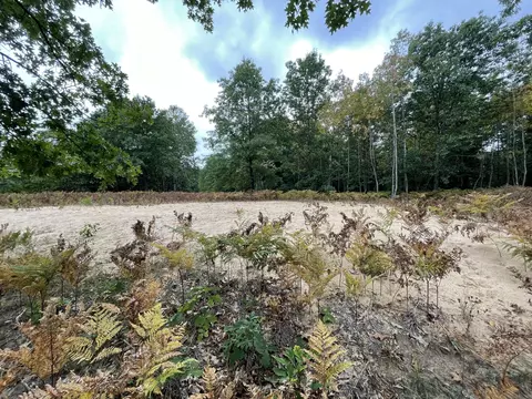 Johnson Road, Kaleva, MI 49645 photo 2