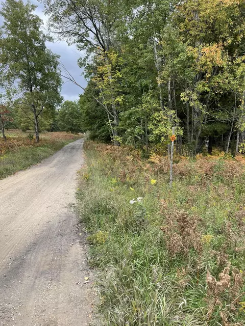Johnson Road, Kaleva, MI 49645 photo 11