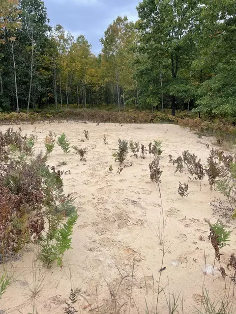 Johnson Road, Kaleva, MI 49645 photo 3