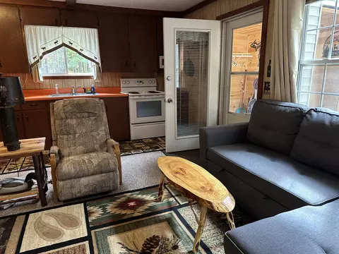 2476 S Forman Rd, Baldwin, MI 49304 photo 20