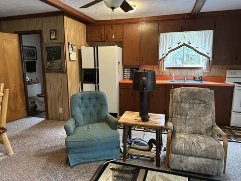 2476 S Forman Rd, Baldwin, MI 49304 photo 19