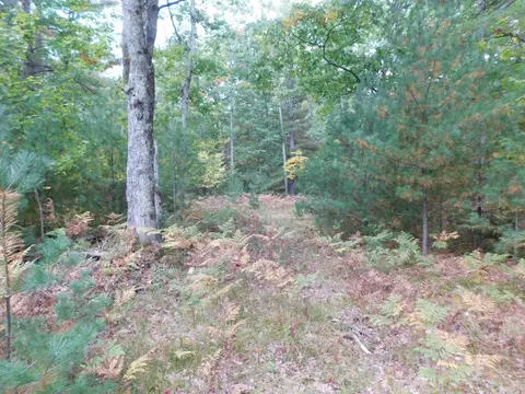3910 E Hawley Rd, Custer, MI 49405 photo 31