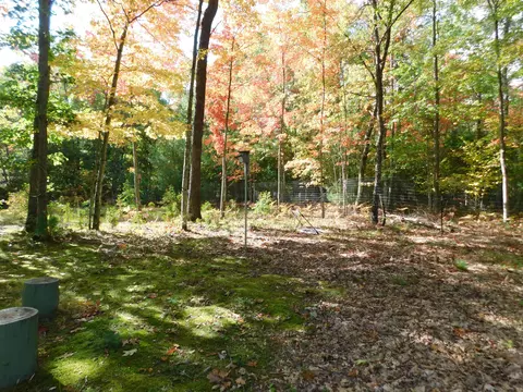 3910 E Hawley Rd, Custer, MI 49405 photo 28